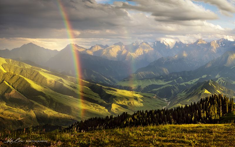 Dual bridgesphoto preview