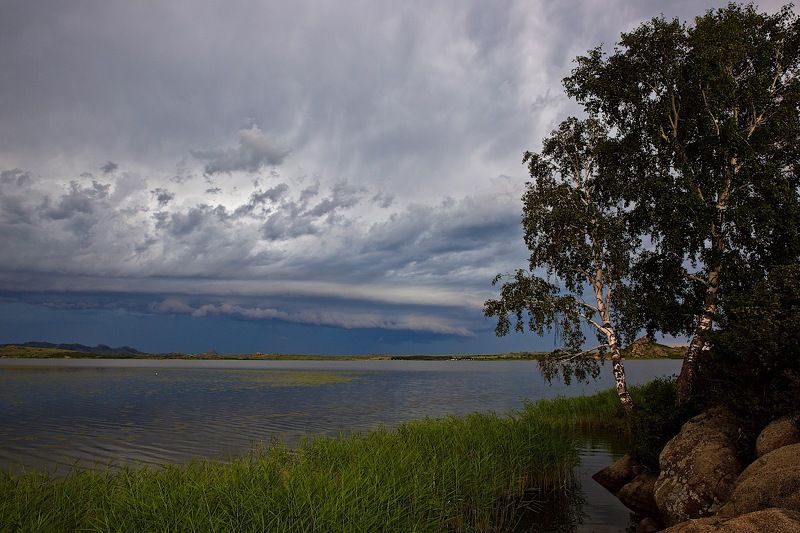 перед бурей. фото превью