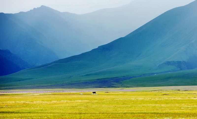 Landscapephoto preview