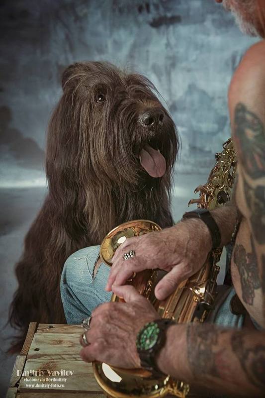 портрет, art_vavilov Портрет без портрета: Петровичphoto preview