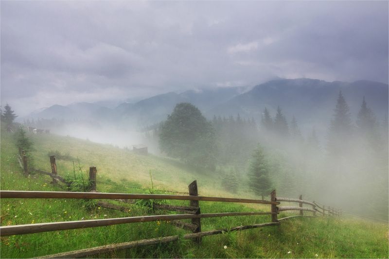 carpathians mountain field карпаты полонына Mountain fieldphoto preview