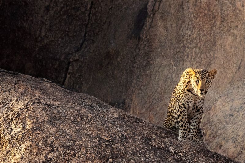 Samiul Kabir Photographyphoto preview