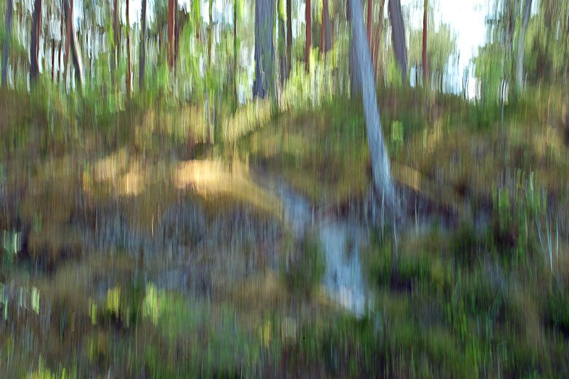 естественное фото, хорошая фотография; nature photo, good photo, studio photo Nature preludesphoto preview