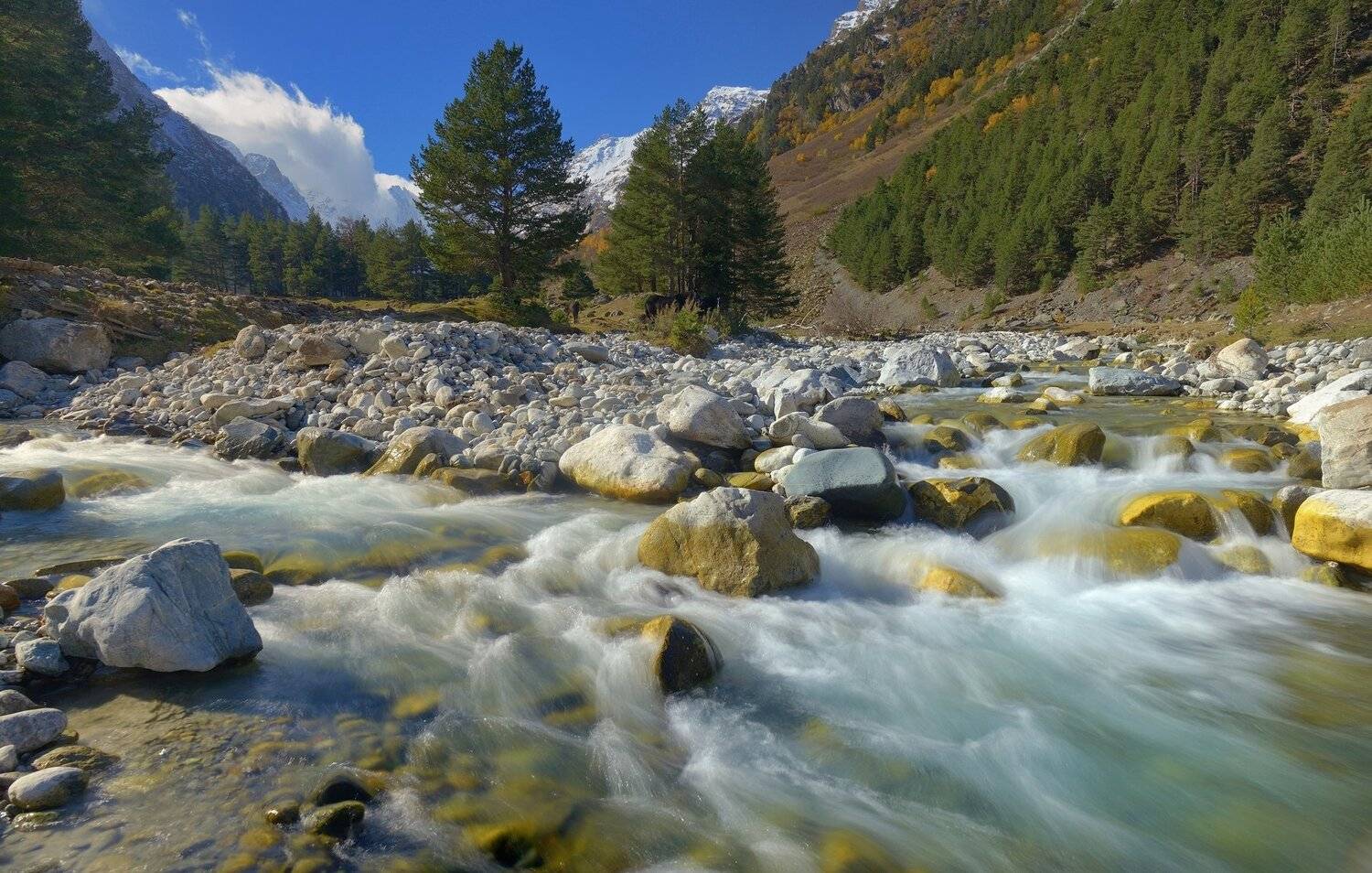 Осеннее утро. Автор: Александр Жарников горы осень гондарай, Александр Жарников