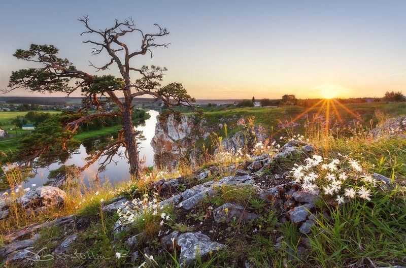 Слобода, Чусовая, Урал, Средний Урал, закат, восход, лучи, солнце, дерево, цветы, пейзаж Слободаphoto preview