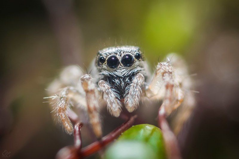 блондинphoto preview