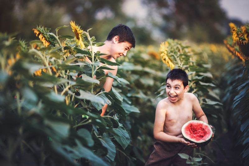 Дети, подсолнух, арбуз, радость , смех, детская фотосессия,лето,счастливый момент Счастливое детствоphoto preview