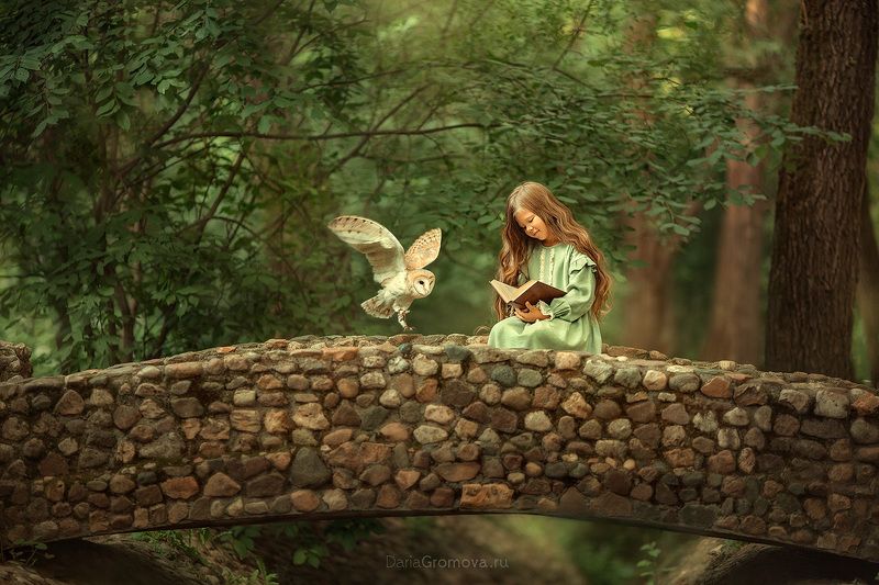 боке, натюрморт, дарья громова, фотография, фото, фотоарт, фотограф, закат, портрет, детский портрет, дети, ребенок, сова, лето, парк Лесные сказкиphoto preview