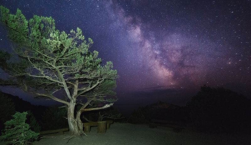 В путьphoto preview