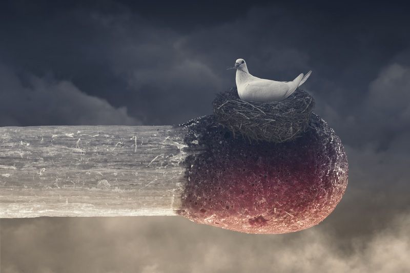 flammable landphoto preview