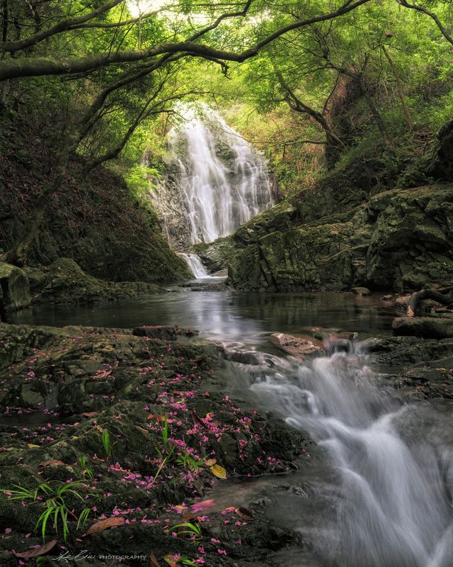 The Tiger Creekphoto preview