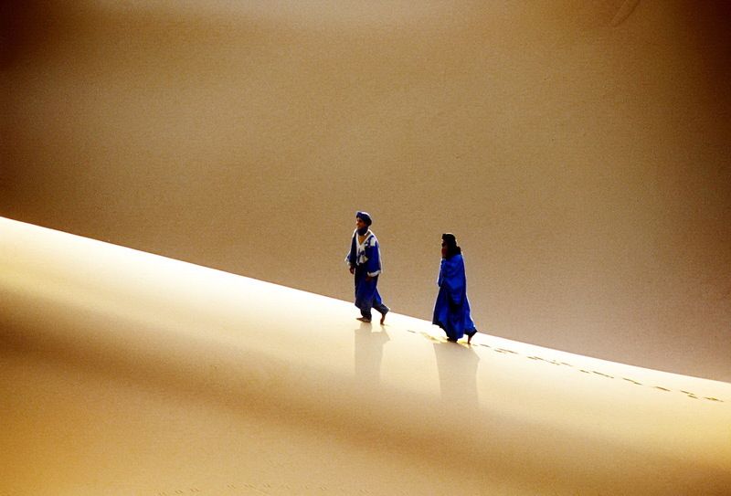 Companionphoto preview