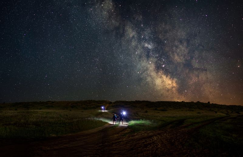 ceclii, nikon d3400 photo preview