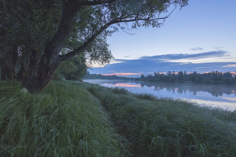 Рассвет на Деснеphoto preview