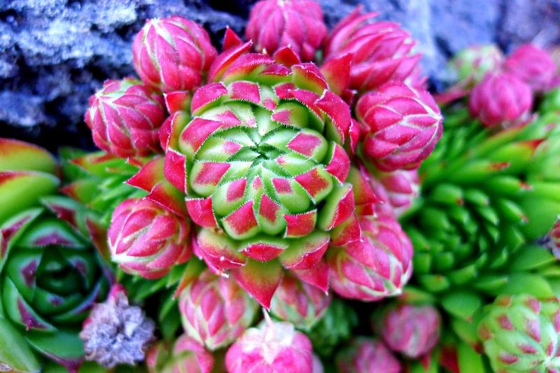 Ну что, Данила Мастер?....photo preview