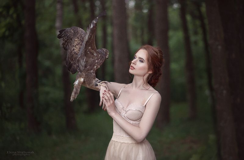 hawk, forest, beauty, bird, flight, ястреб. полет girl with a hawkphoto preview