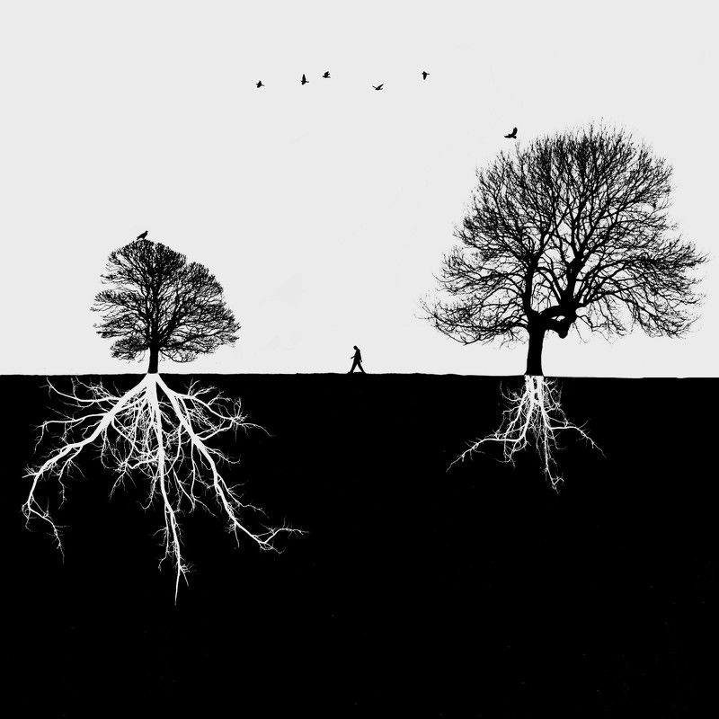  #35photo #surrealart#photoshop#ps_fantasy#art_minimal #bnw_dream #photography#minimalism#conceptual#fineart #instagram#ps_dreams#bnwminimalismmag#art_digital #ir_photographer#ir_aks#minimal#canon#blackandwhite#bnw#surreal#conceptualart#art#fantastic_eart Differencephoto preview