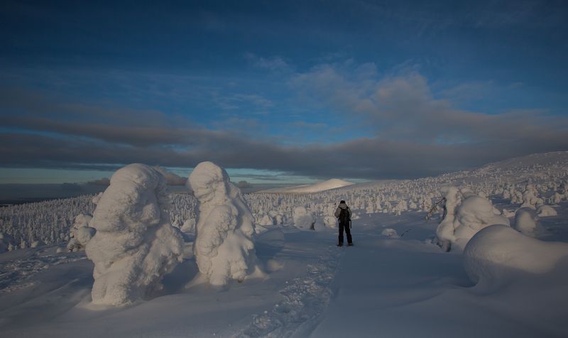 в царстве троллей фото превью