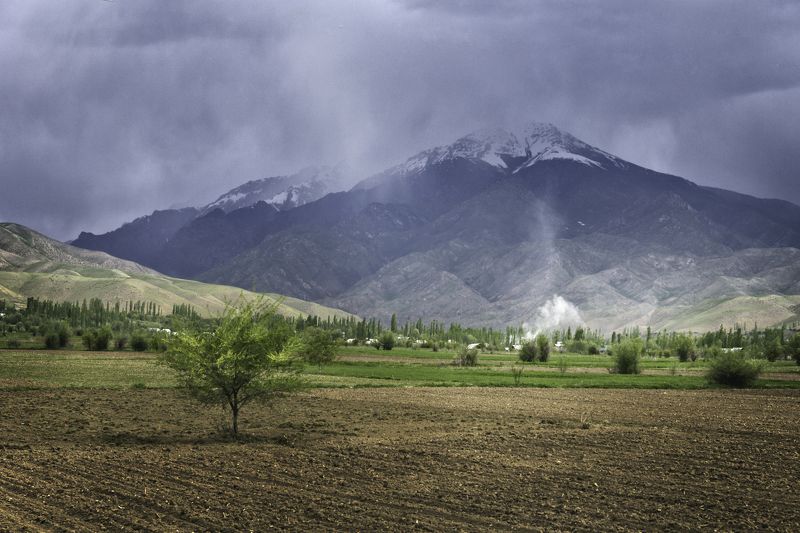 Перед грозойphoto preview