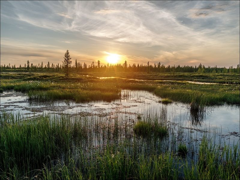 солнце, закат, тундра, пейзаж, небо, вода На закате фото превью