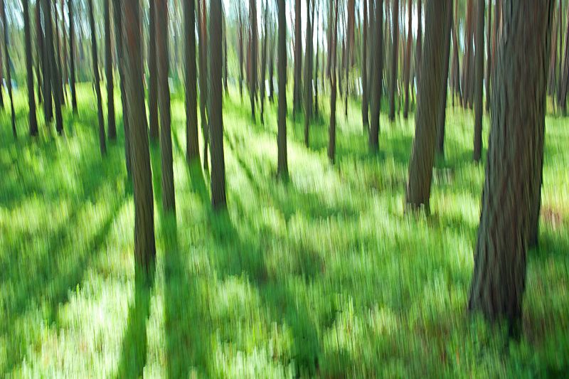 естественное фото, хорошая фотография; nature photo, good photo, studio photo Nature preludesphoto preview