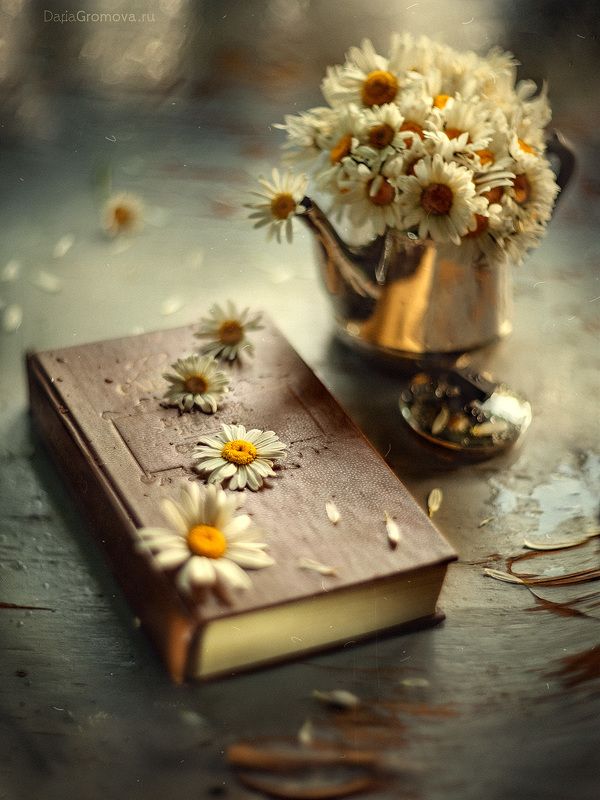 ромашки, боке, натюрморт, дарья громова, фотография, фото, фотоарт, фотограф, закат, чайник Ромашковое летоphoto preview