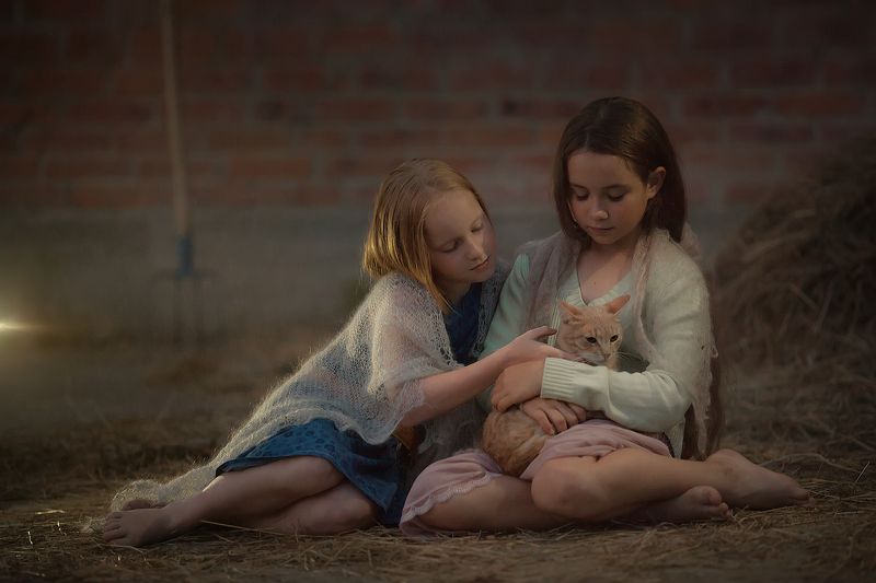 Уютный вечерphoto preview