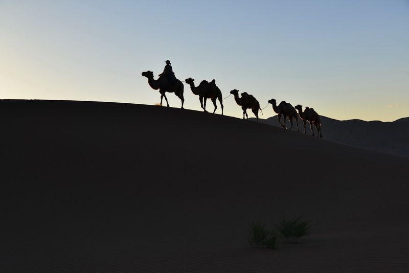 At desert 2photo preview