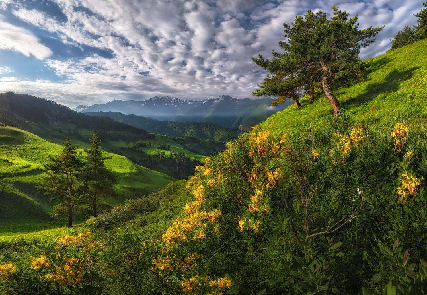 Ингушетия. Заповедник Эрзи.. Автор: Андрей Грачев кавказ, ингушетия, эрзи, Андрей Грачев