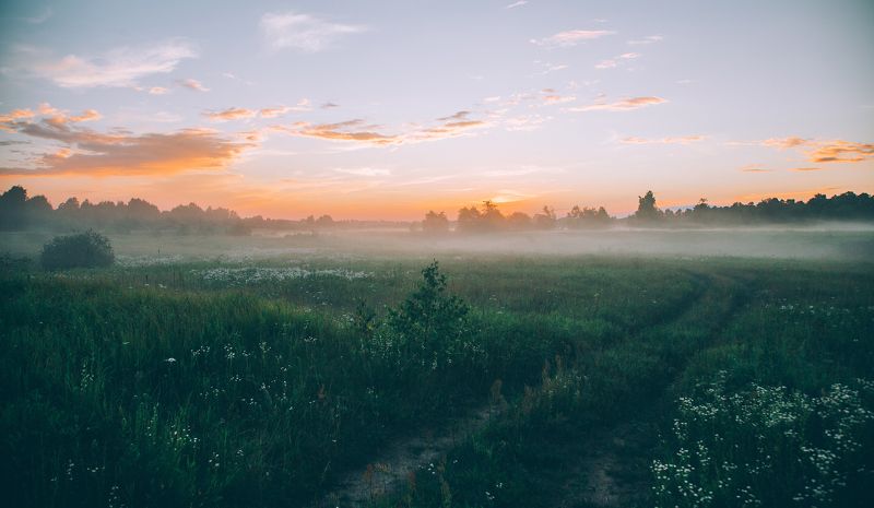 Туманное полеphoto preview