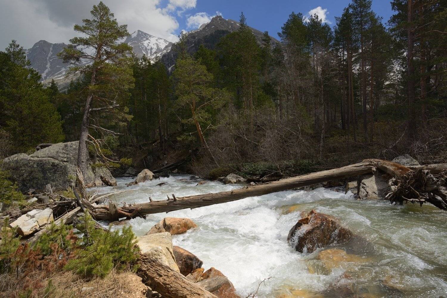 Весенний поток в горах Кавказа. Автор: Александр Жарников горы весна кавказ ручей узункол, Александр Жарников