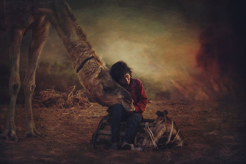 Svetlin Yosifov,Picsvet Photographyphoto preview