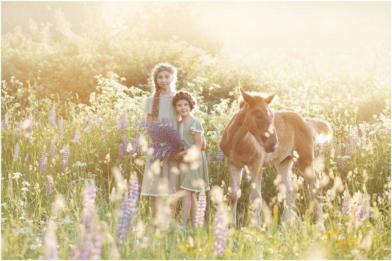 Летоphoto preview