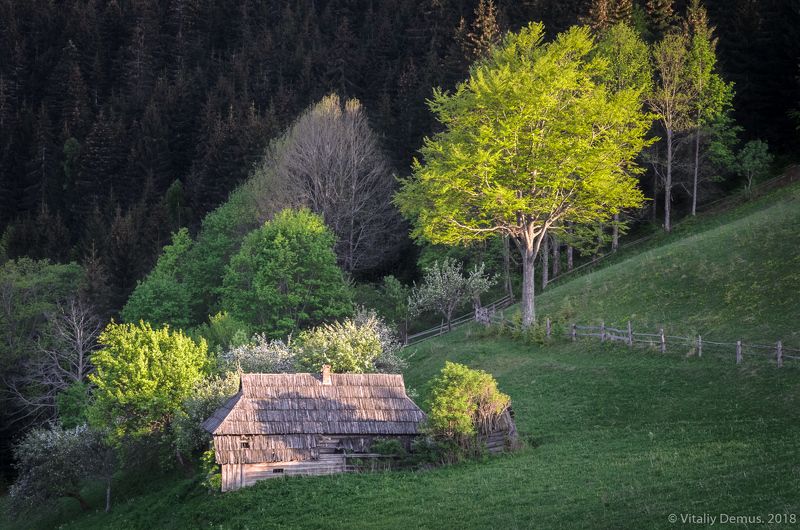 весна, горы, зелень, закат, свет, вечер, дом Дом на холме. Карпаты. Покуття.photo preview
