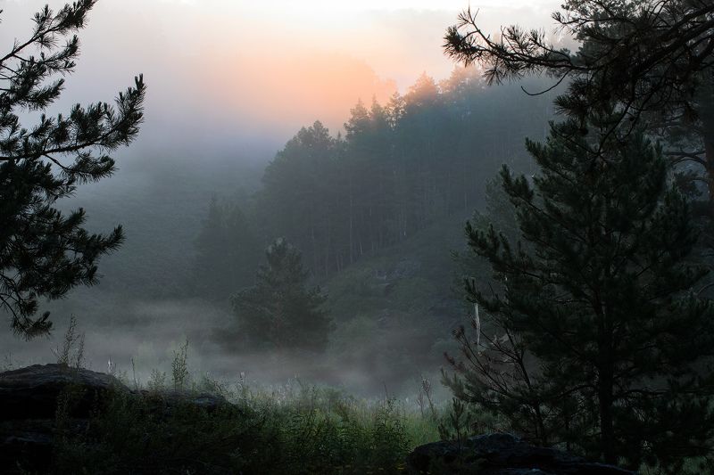 паутинкаphoto preview