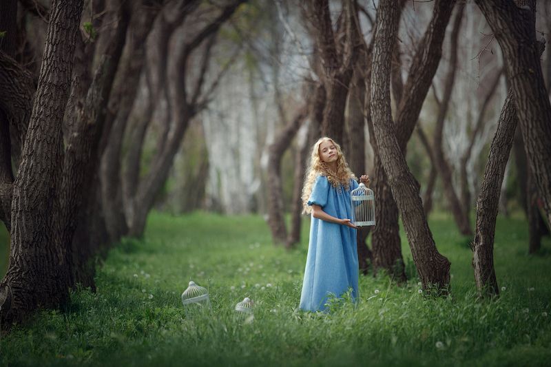 лес, дети, девочка,утро,состояние, эмоции В лесу)photo preview