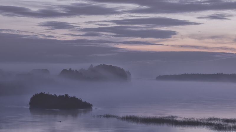 онега, архангельская Туман на р.Онегаphoto preview