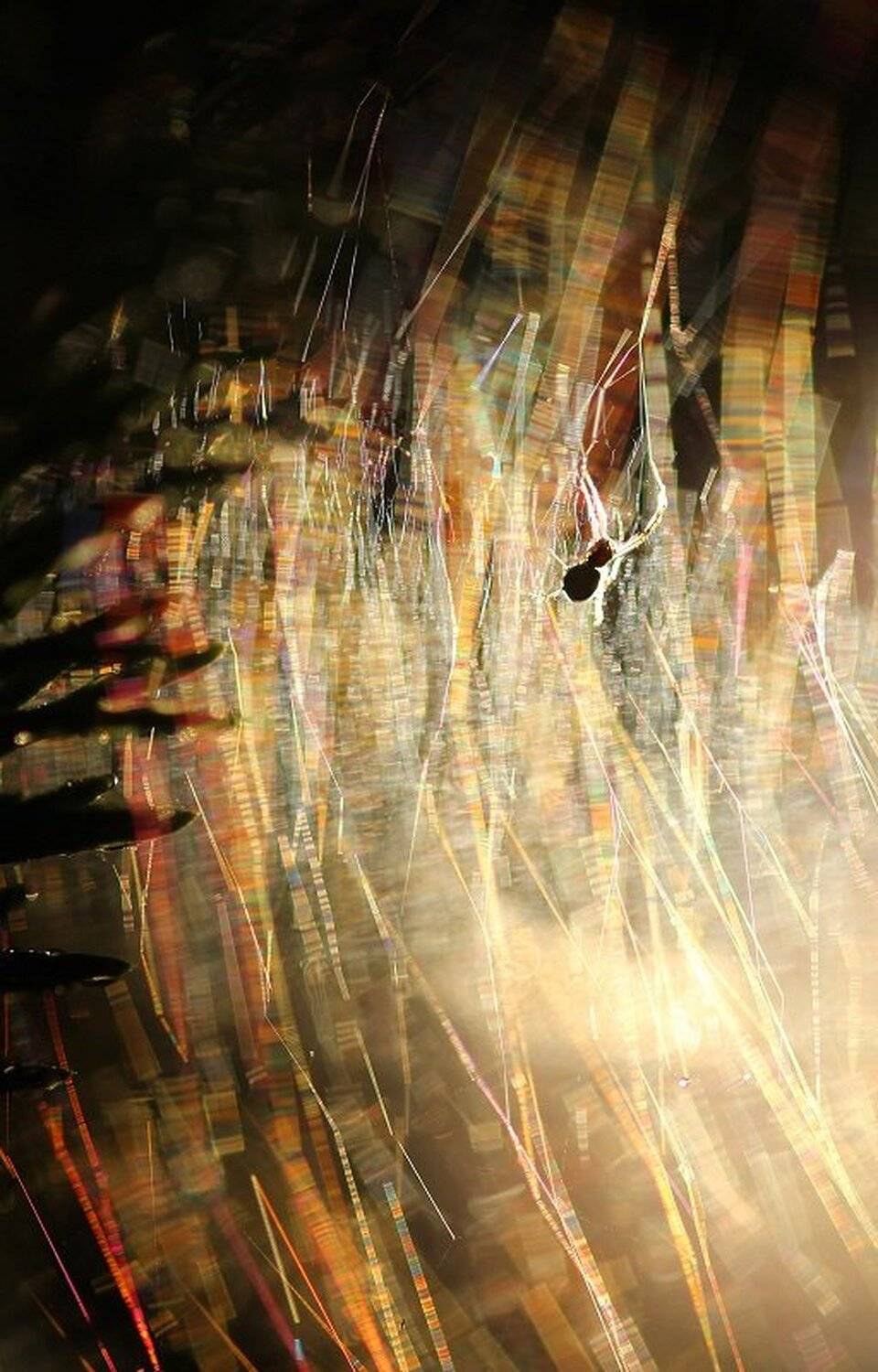 , Александр Журавлёв