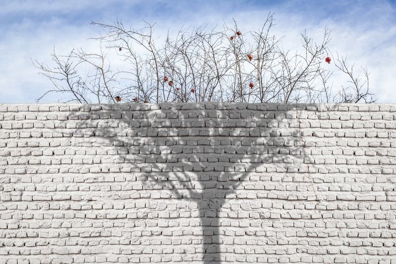 White Wallphoto preview