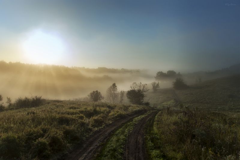 дорога,пейзаж,лето,утро,рассвет,туман Сходящая в туман ...photo preview
