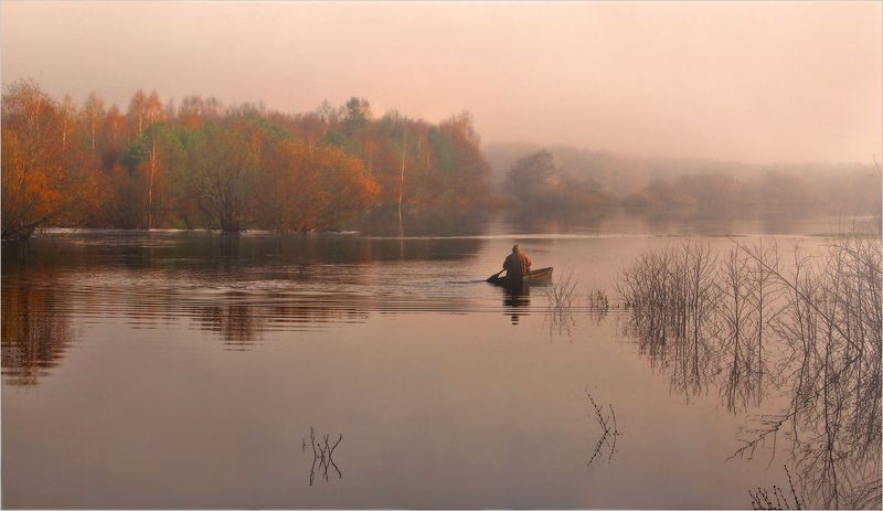 На встречу утруphoto preview