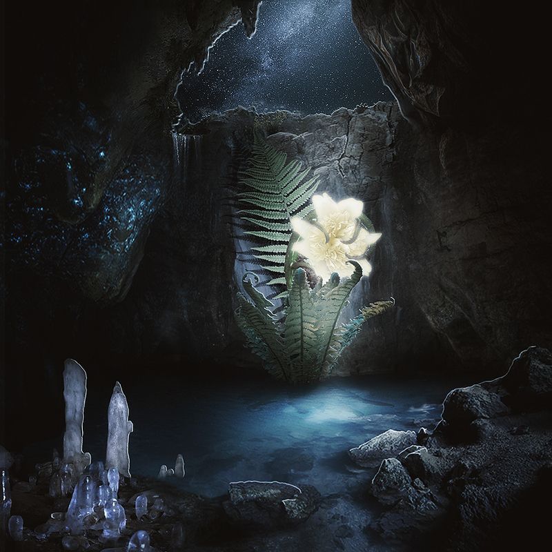 Сокрытое сокровищеphoto preview