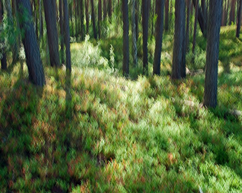 естественное фото, хорошая фотография; nature photo, good photo, studio photo Nature preludesphoto preview