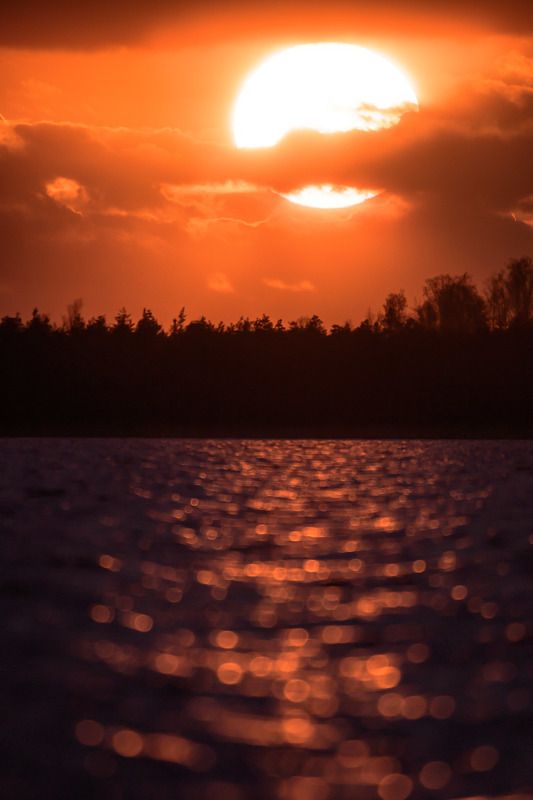 полистовский заповедник, озеро полисто, псковская область, закат, вода, оранжевый, свет, солнце, солнечно, апрель, вечер, год 2018, дикая природа, пейзаж на телевик, съёмка с лодки, Закатные краски озера Полистоphoto preview