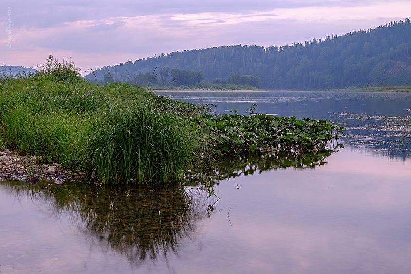 река, мрас-су, посёлок турала, природа, тайга, лес, горная шория, лодка, мотор, лодочная станция Вечер на реке Мрас-Суphoto preview