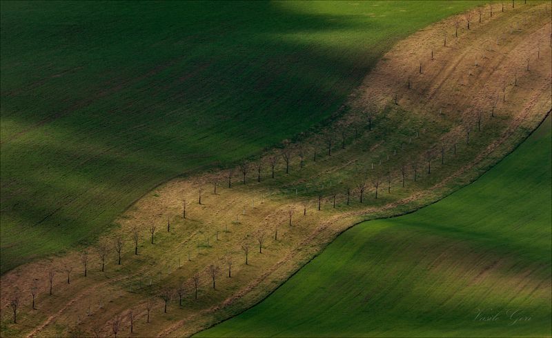 южная моравия,пейзаж,hils,биолента,линии,south moravian,lines,свет,czech,веснa,чехия,landscapes. Пёстрая лента фото превью