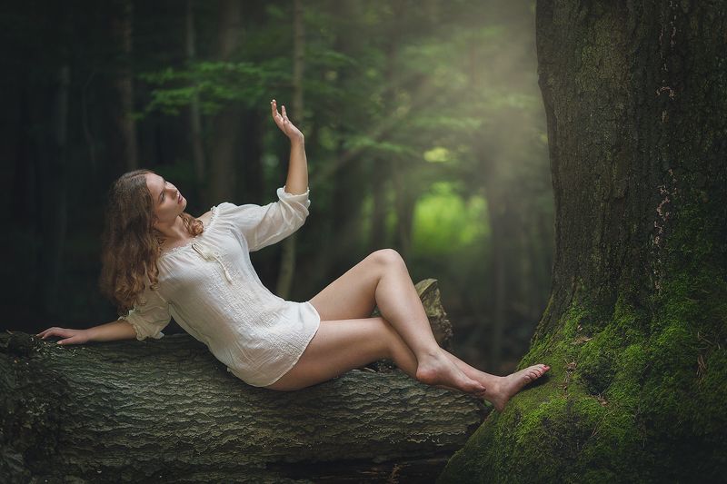 forest, girl, wood, tree, magic, fairy, fairytail, joung, light,  Forestphoto preview