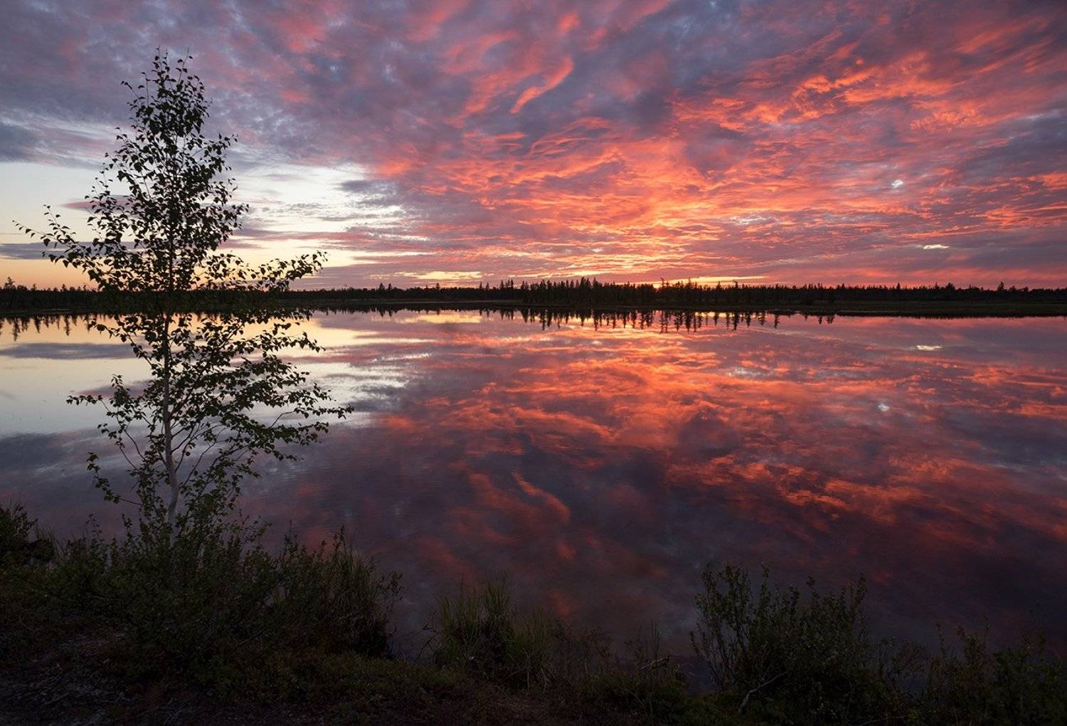 закат, небо, озеро, вода, облака, природа, сибирь, Андрей Снегирёв