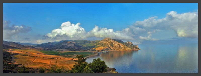 Веселаяphoto preview