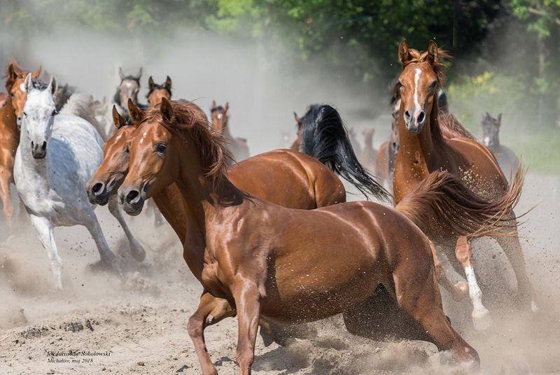 zatrzymać wiatrphoto preview
